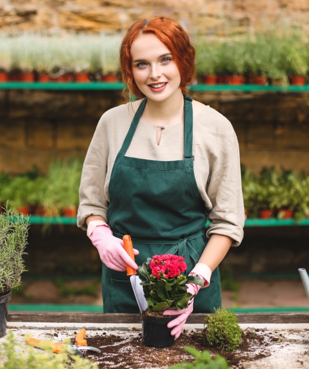 Изображение 473