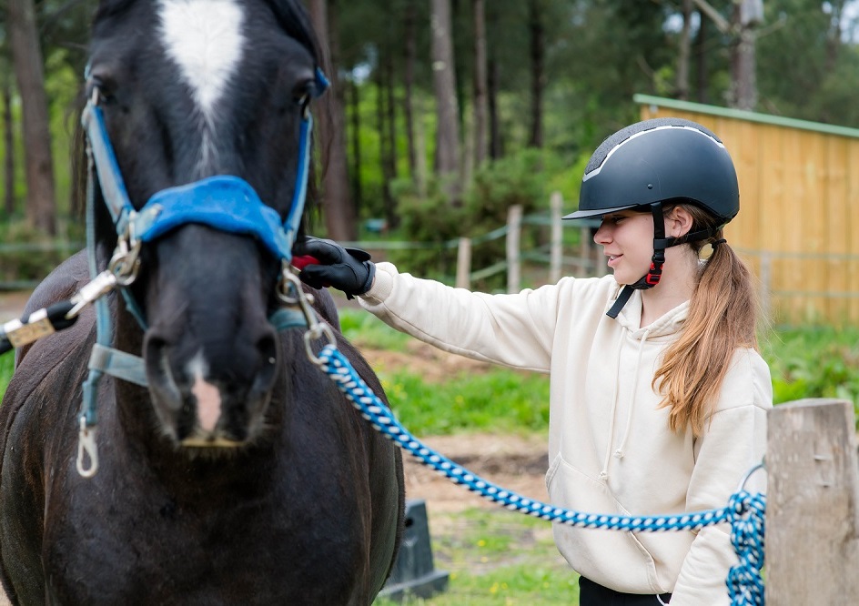 Изображение 386