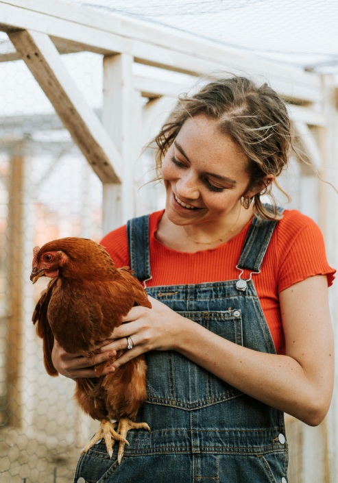 Изображение 418