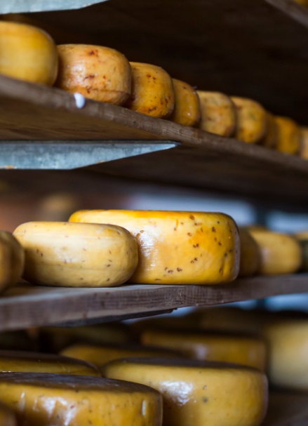 Изображение 422