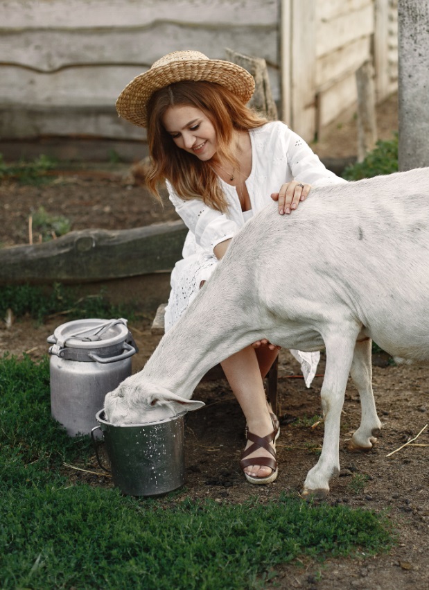 Изображение 454