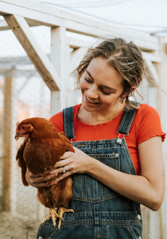 Изображение 454