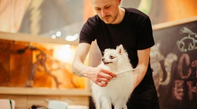 Изображение новости 5035