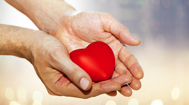 Изображение новости 4664