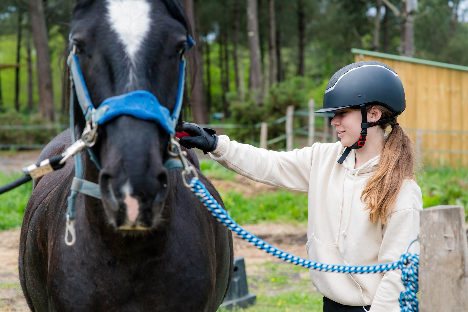 Как иппотерапия помогает детям с ОВЗ и РАС