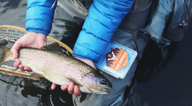 Изображение новости 5057