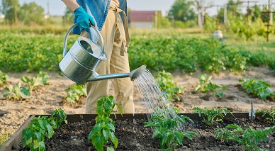 Профессии, связанные с растениями: 4 перспективных варианта